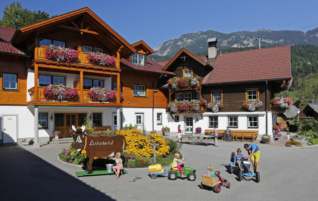 Linharterhof Villa Haus im Ennstal Exterior foto
